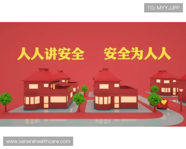 全面解析365速发登录平台的操作流程与安全保障措施