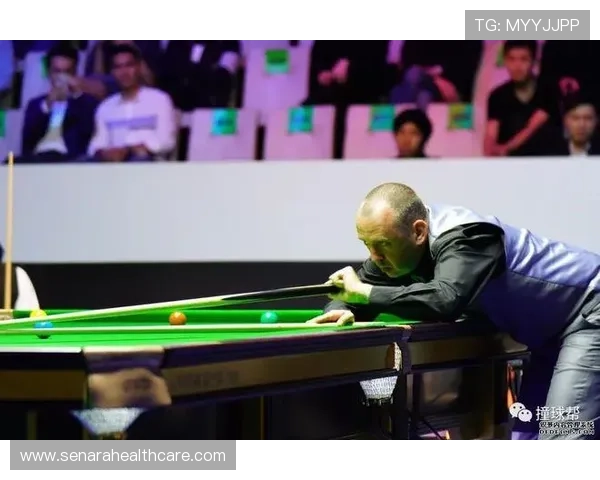 尊龙体育站的安全保障措施和用户隐私保护策略确保您的线上体验安全无忧