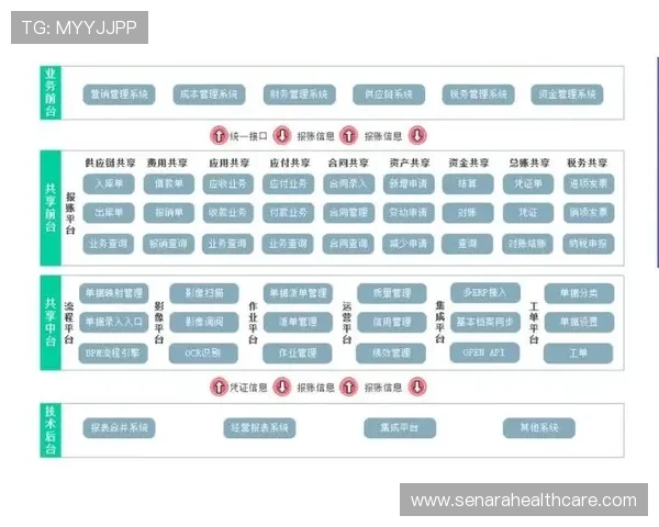江南体育登录助力体育赛事数字化管理实现智能化运营 江南体育登录助力体育赛事数字化管理实现智能化运营